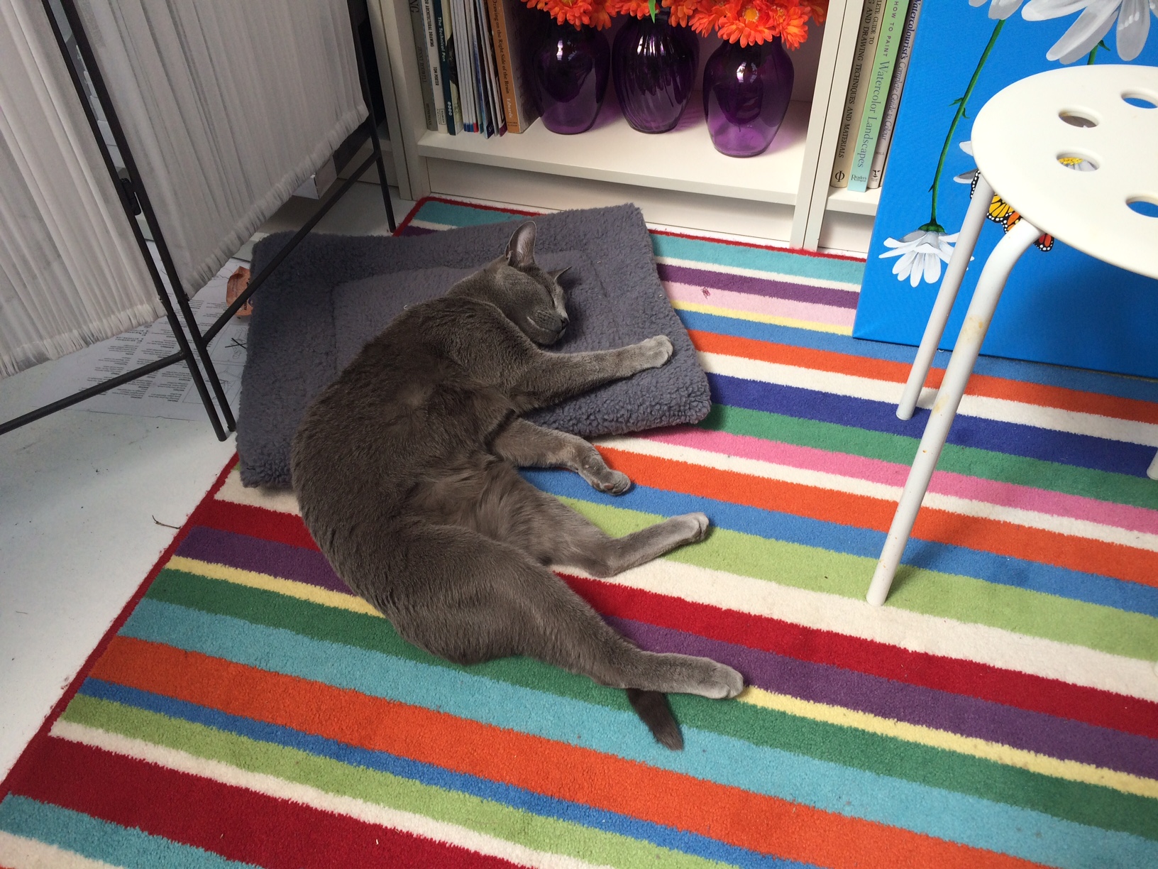 image-532873-Sam 1.jpg?1446631968133